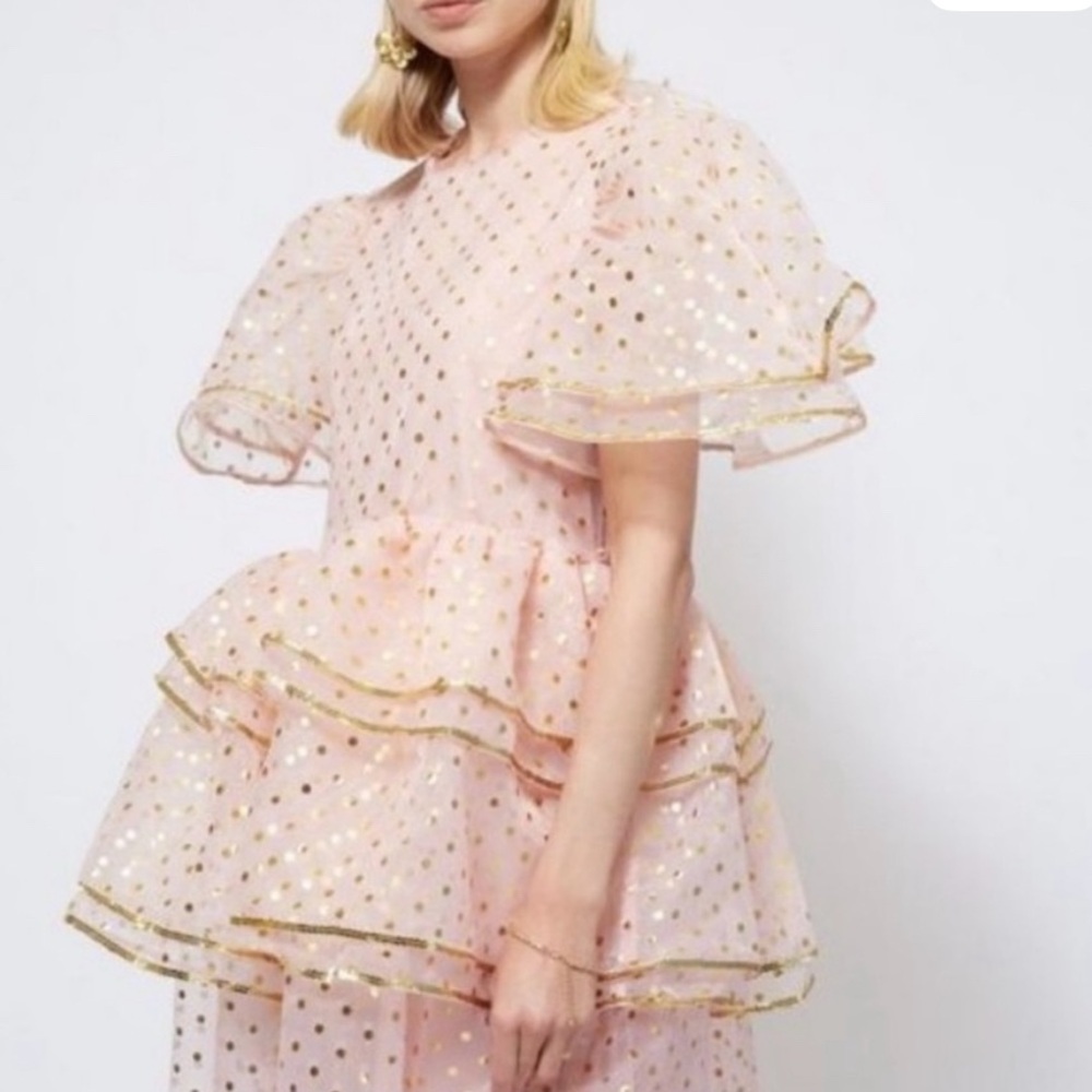 Fairy Godmother/ pink witch  Sister Jane Pink Organza  Dress L - Picture 4 of 7